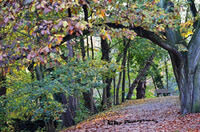 Park in Wittenberg