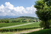 Weinberge-Italien